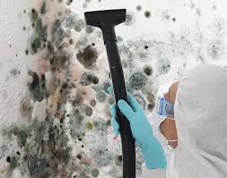 Best Mold Remediation for Healthcare Facilities  in Canal Fulton, OH